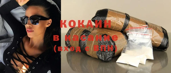 сатива Надым
