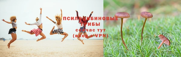 сатива Надым