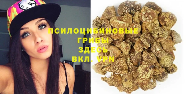 спиды Аркадак