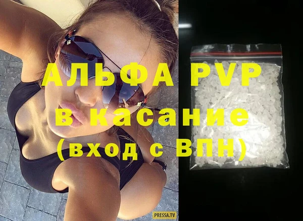 сатива Надым