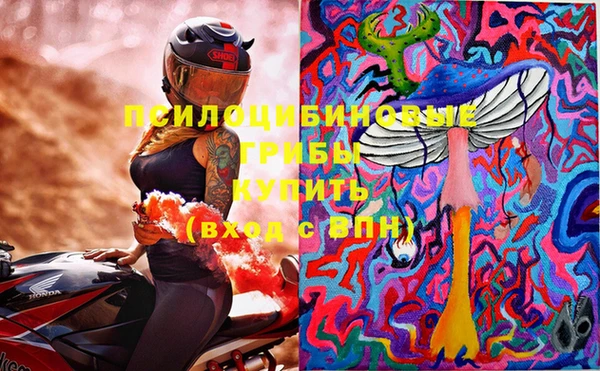 ГАЛЛЮЦИНОГЕННЫЕ ГРИБЫ Наволоки