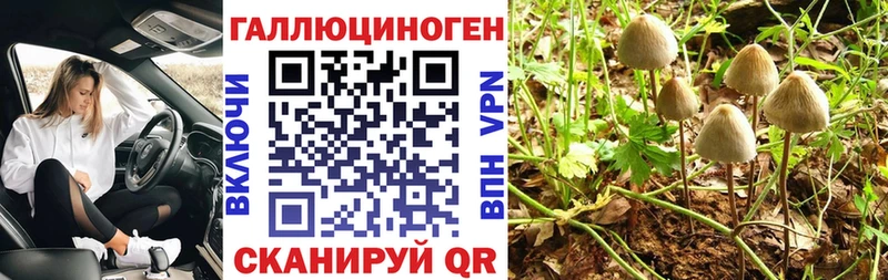 Галлюциногенные грибы Cubensis Сортавала